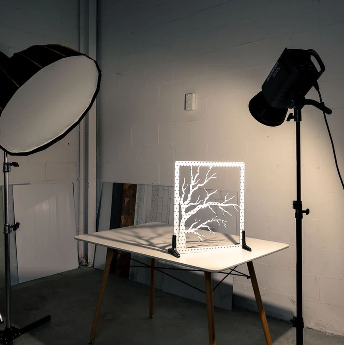 V-Flat World Shadow Boards - Tree Branches