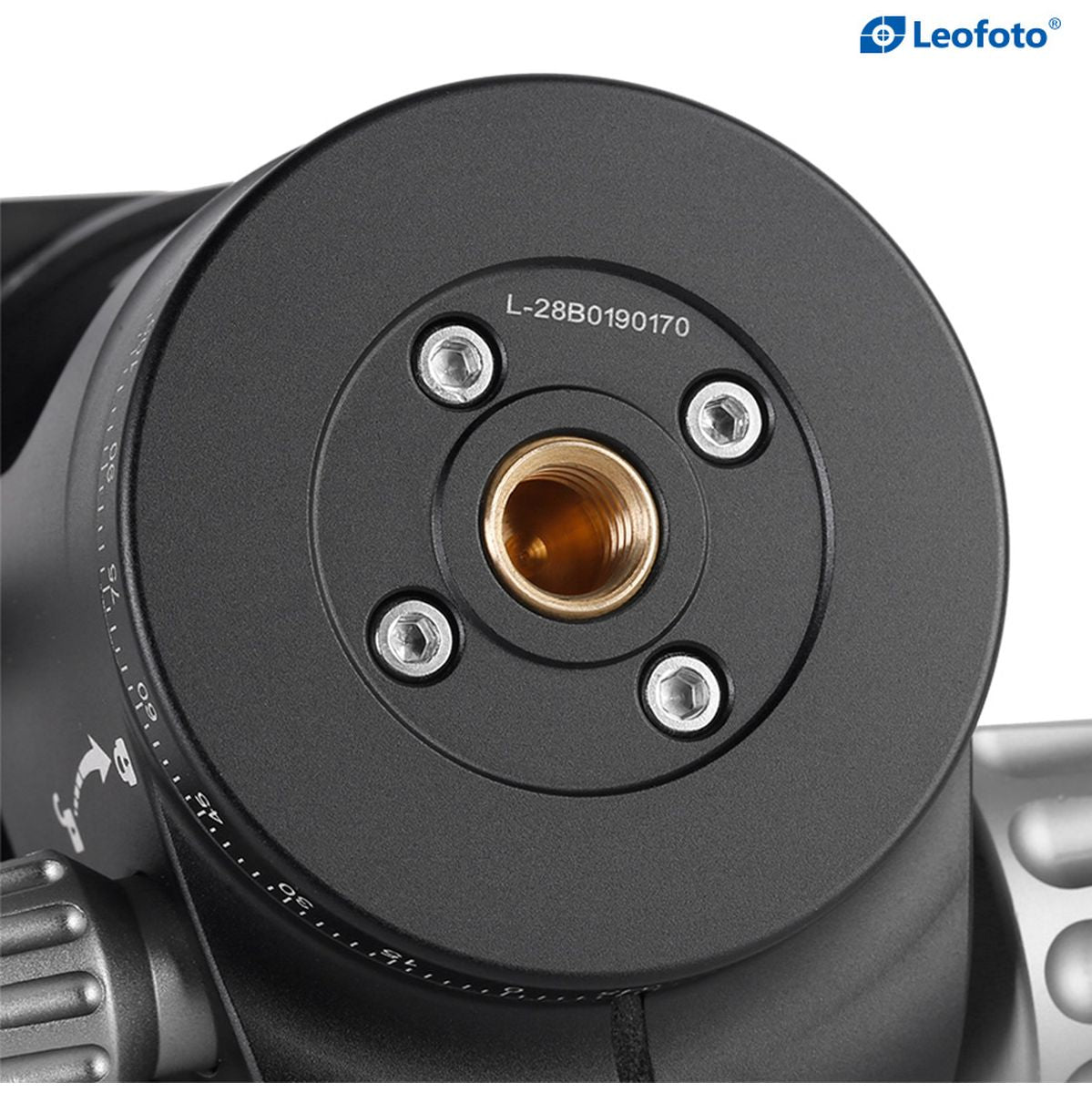 Leofoto 36mm Low Profile Ball Head - image 5 of 5