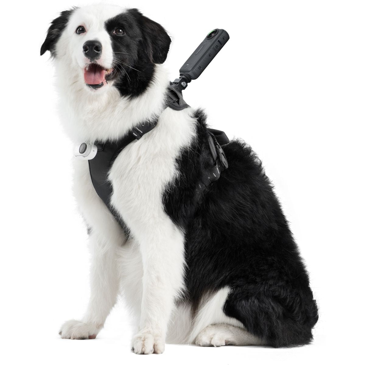 Insta360 Pet Harness Mount Size L