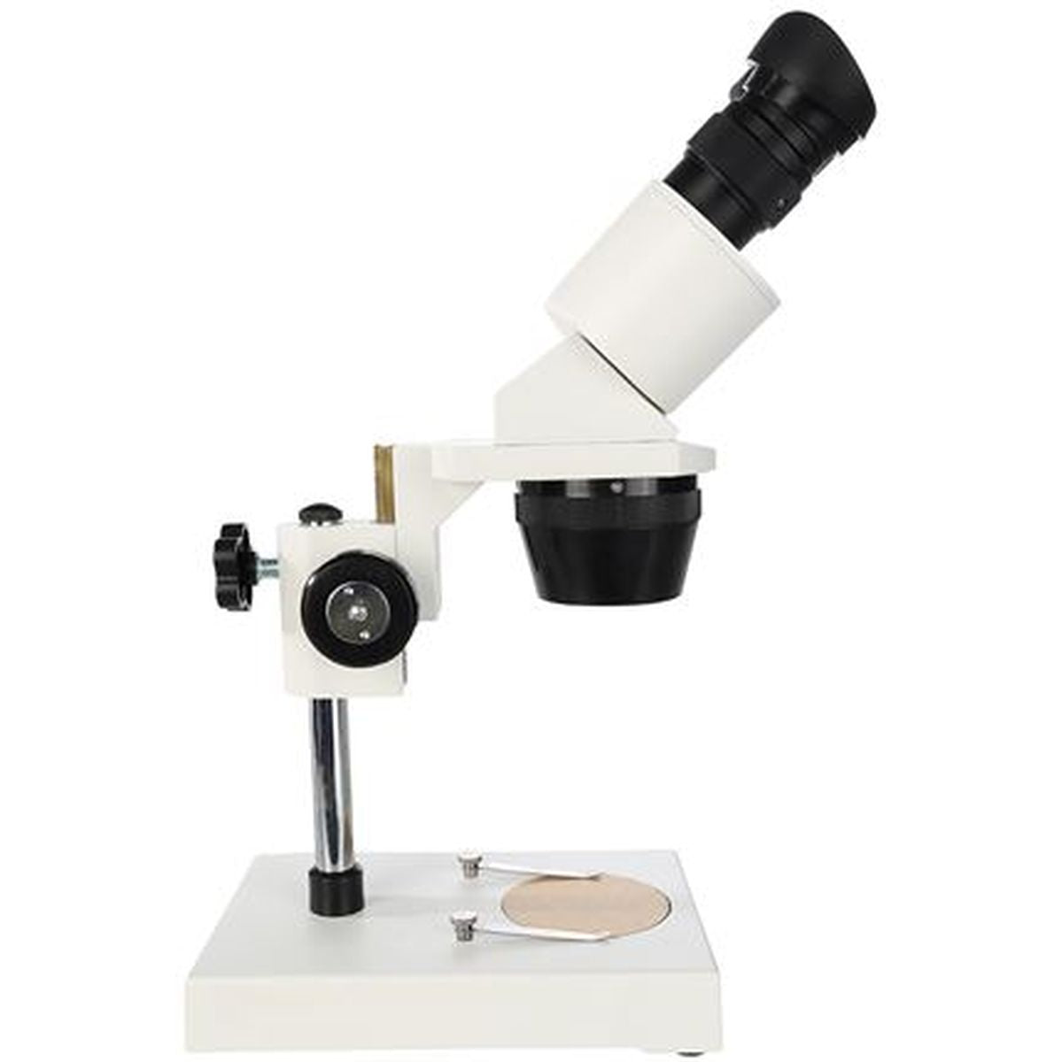 Byomic Stereo Microscope BYO-ST3 - image 2 of 5