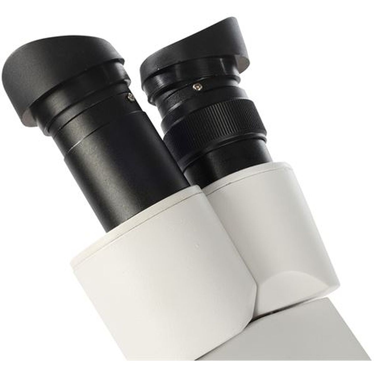 Byomic Stereo Microscope BYO-ST3 - image 5 of 5