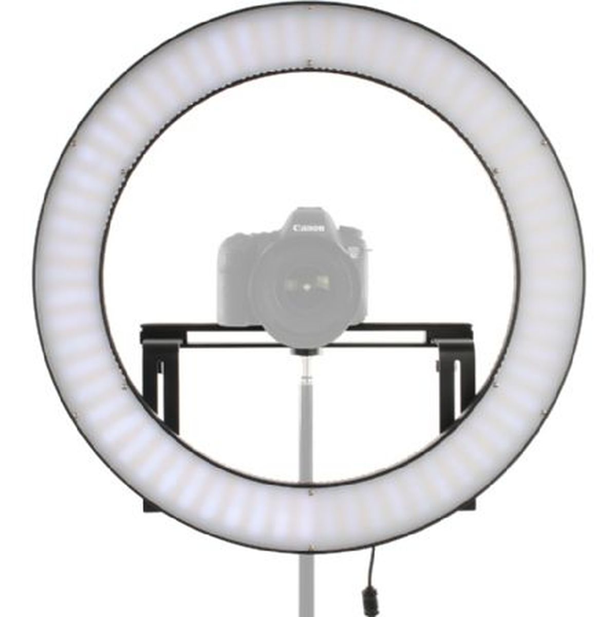 Falcon Eyes LED Ring Lamp Dimmable DVR-512DVC On 230V