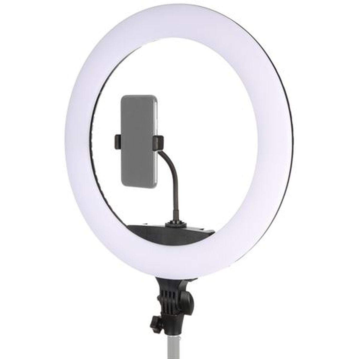 StudioKing LED Ringlamp Set 65W LR-650