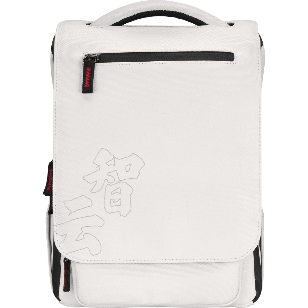 Zhiyun CRANEM2S Combo