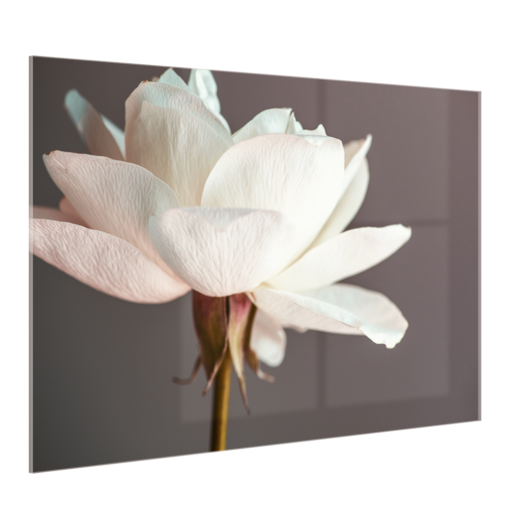 زجاج أكريليك