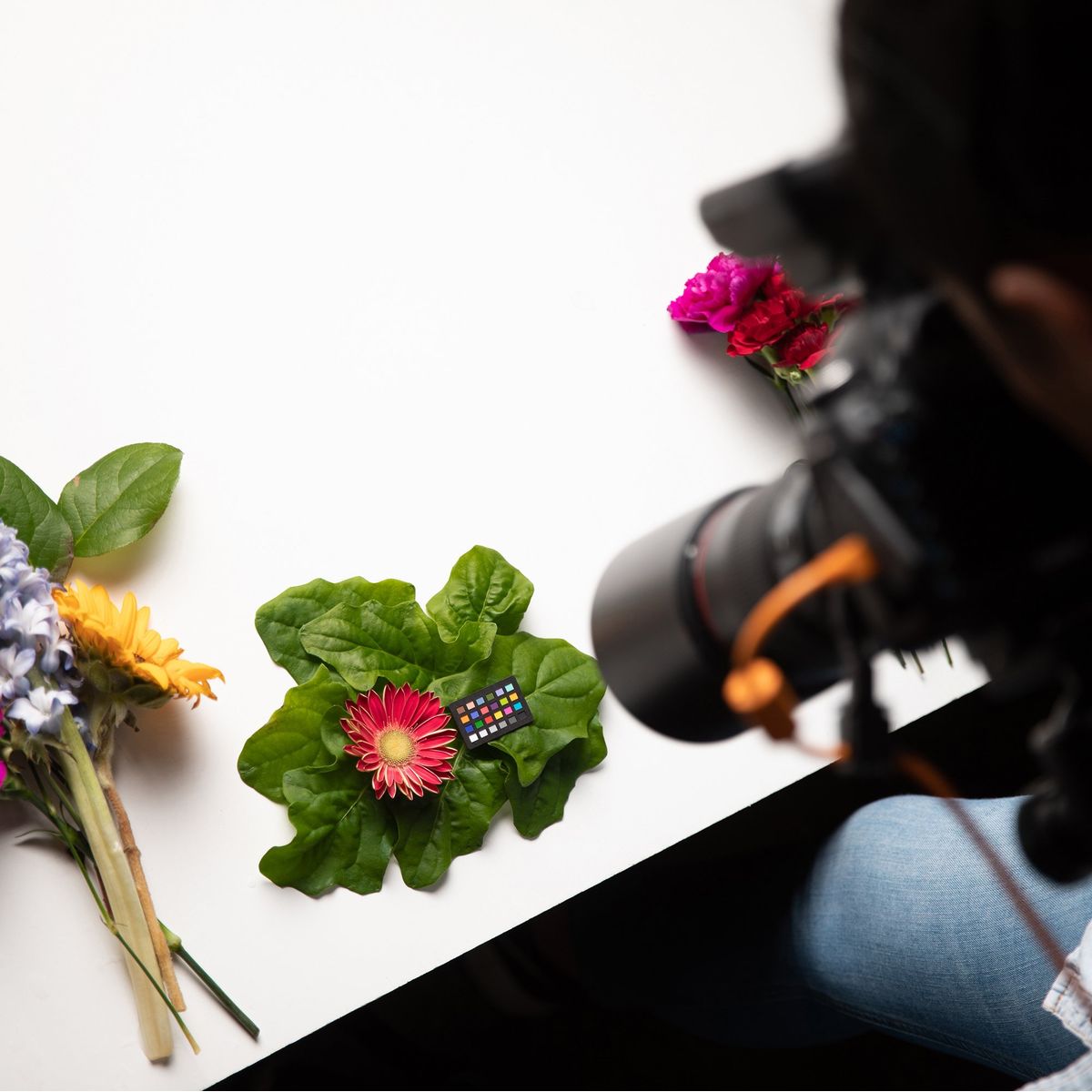 Calibrite ColorChecker Classic Nano