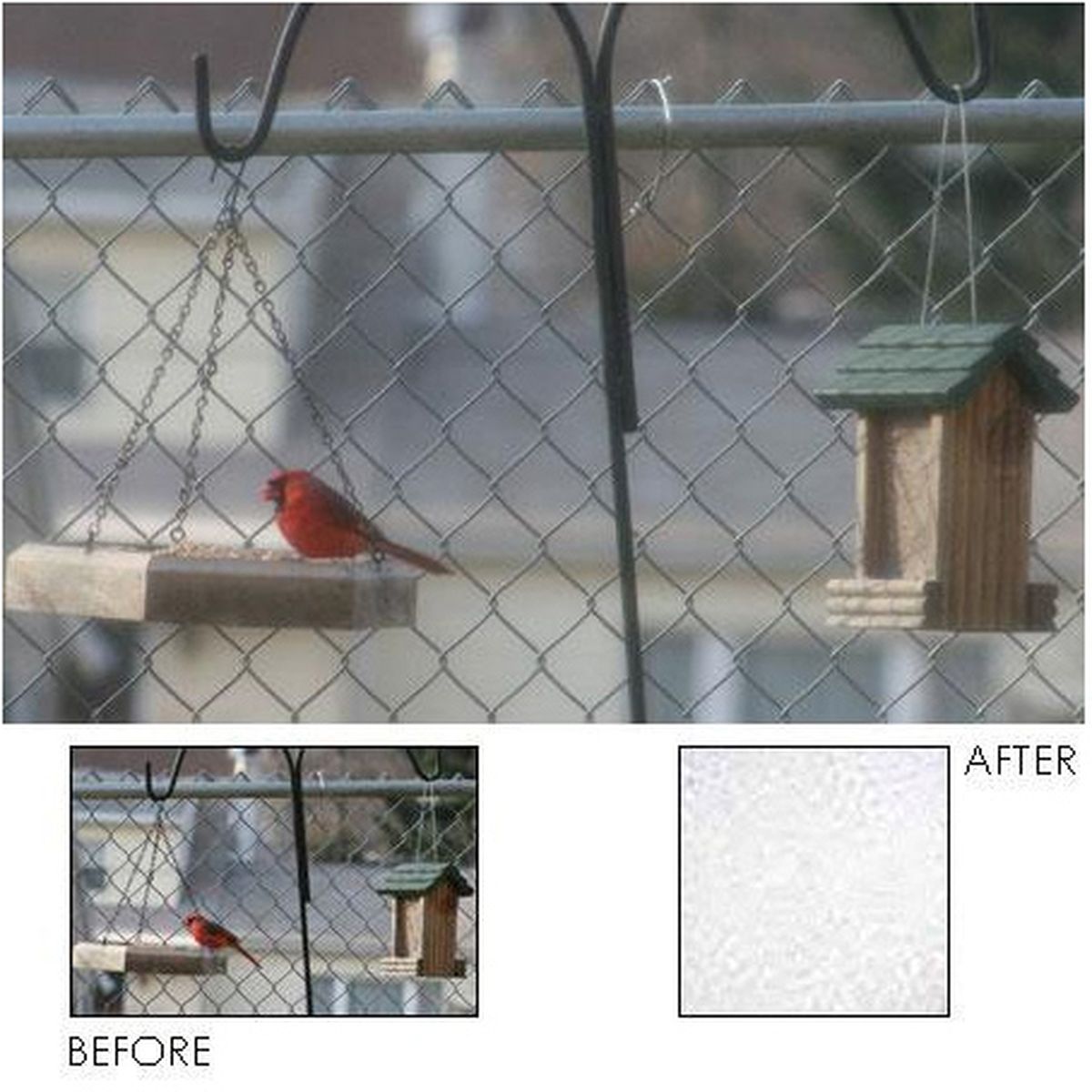 Cokin Filter P850 Diffuser 3