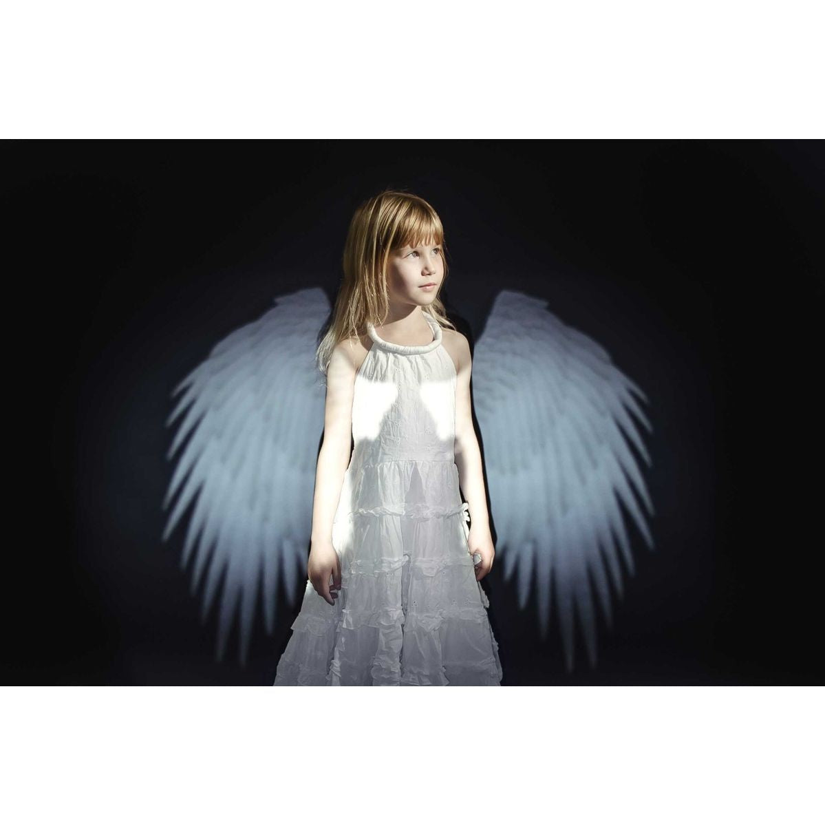 Spekular Creative Kit - Wings - image 4 of 4