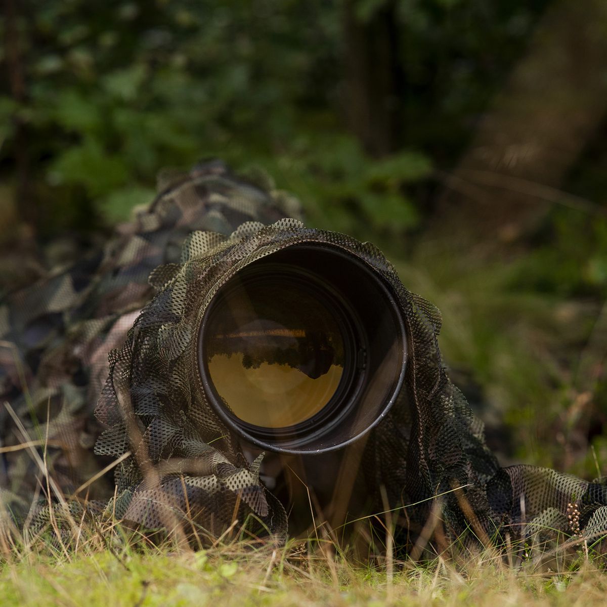 Caruba Camouflage Net Woodland - image 5 of 5