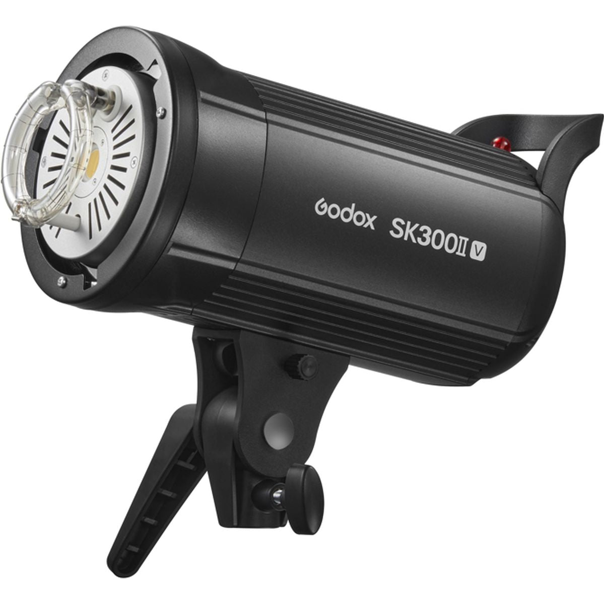Godox SK300IIV-D Studio Flash Kit