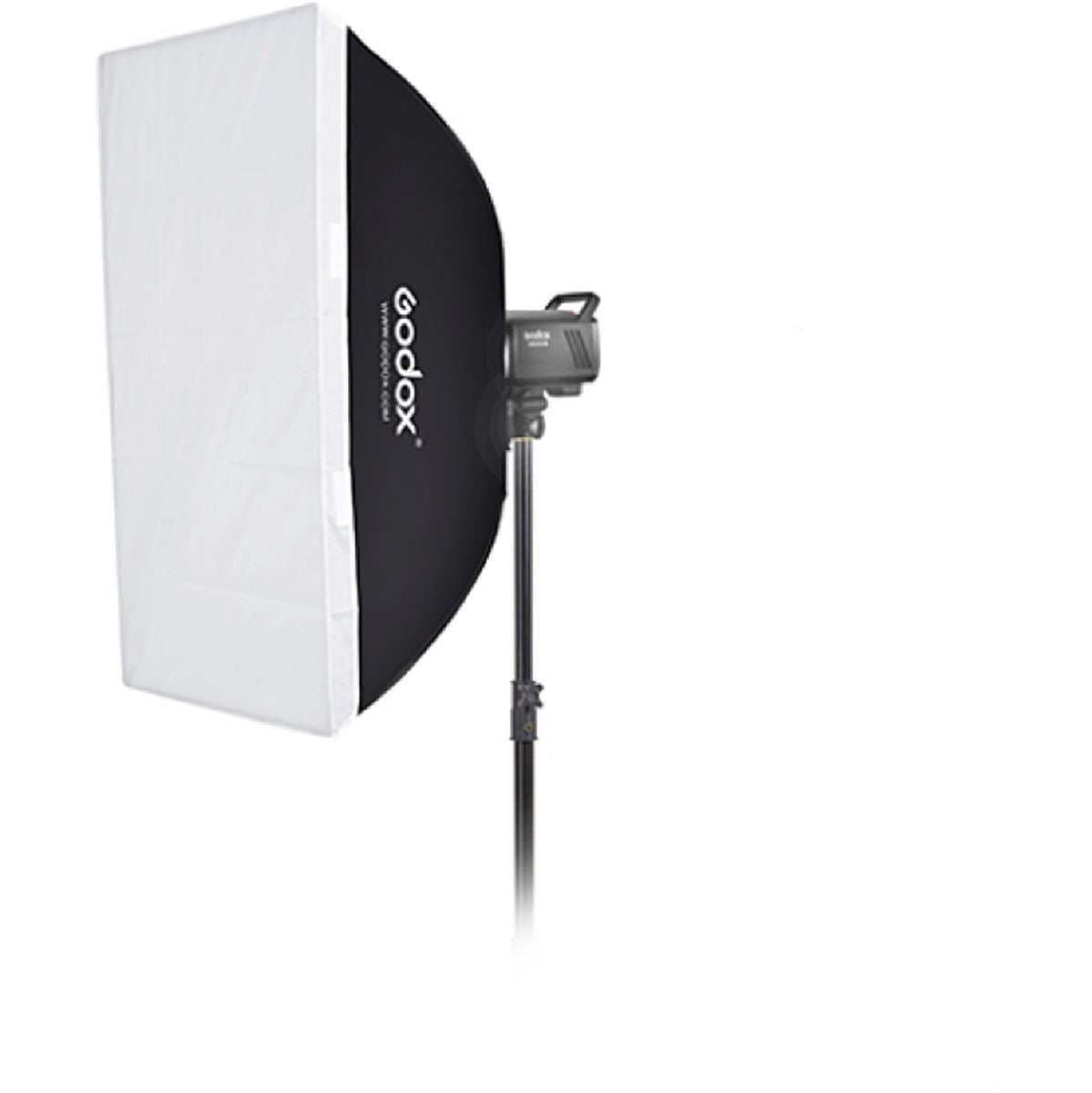 Godox MS200V-F Dual Studio Flash Kit