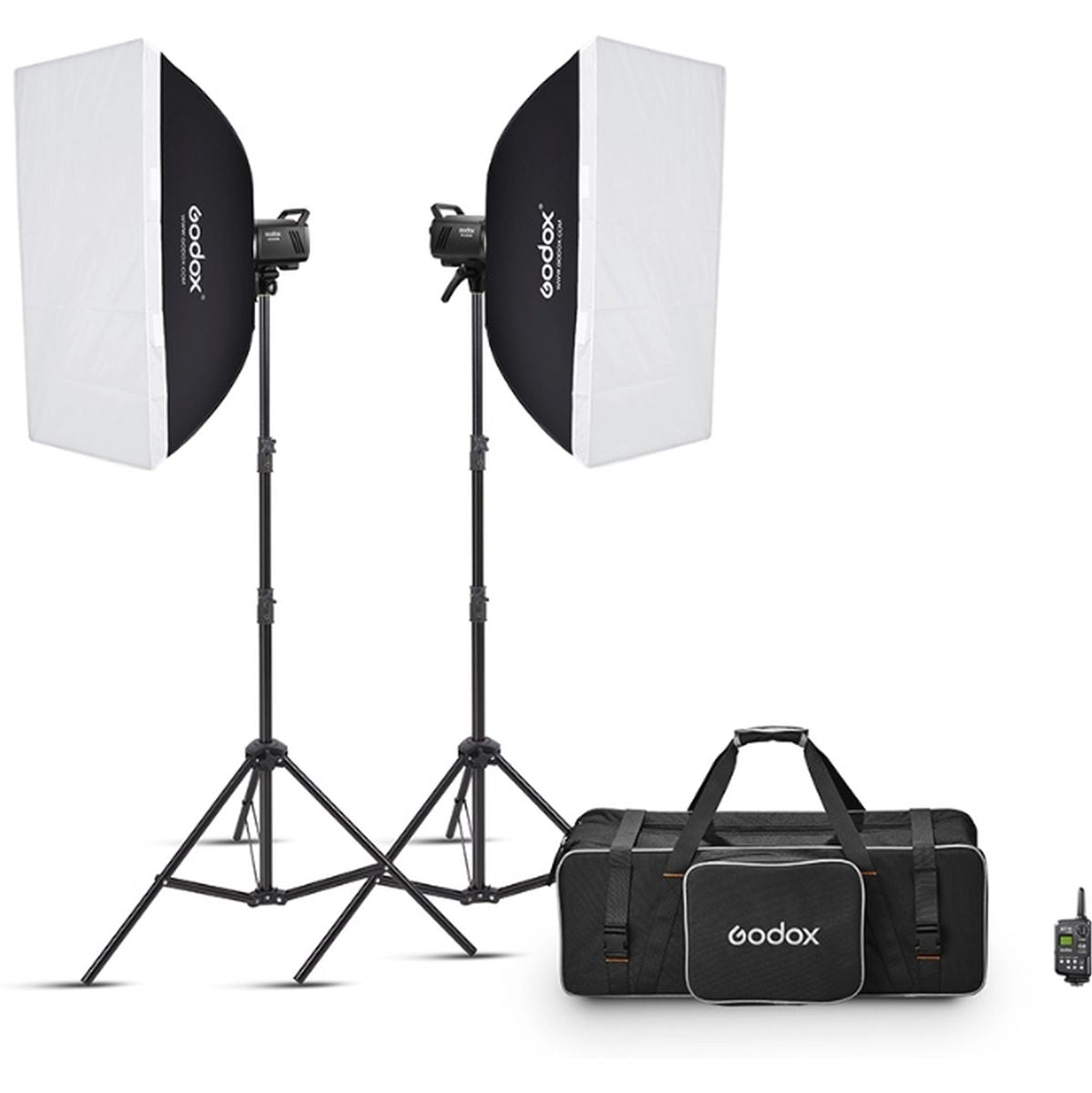 Godox MS300V-F Dual Studio Flash Kit