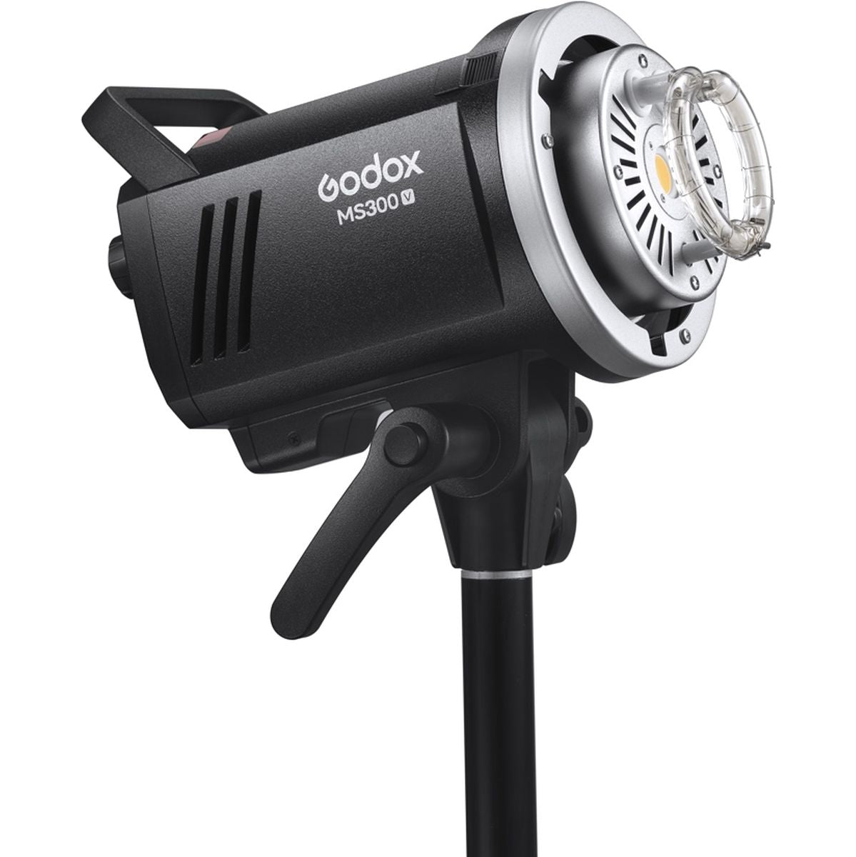 Godox MS300V-F Dual Studio Flash Kit