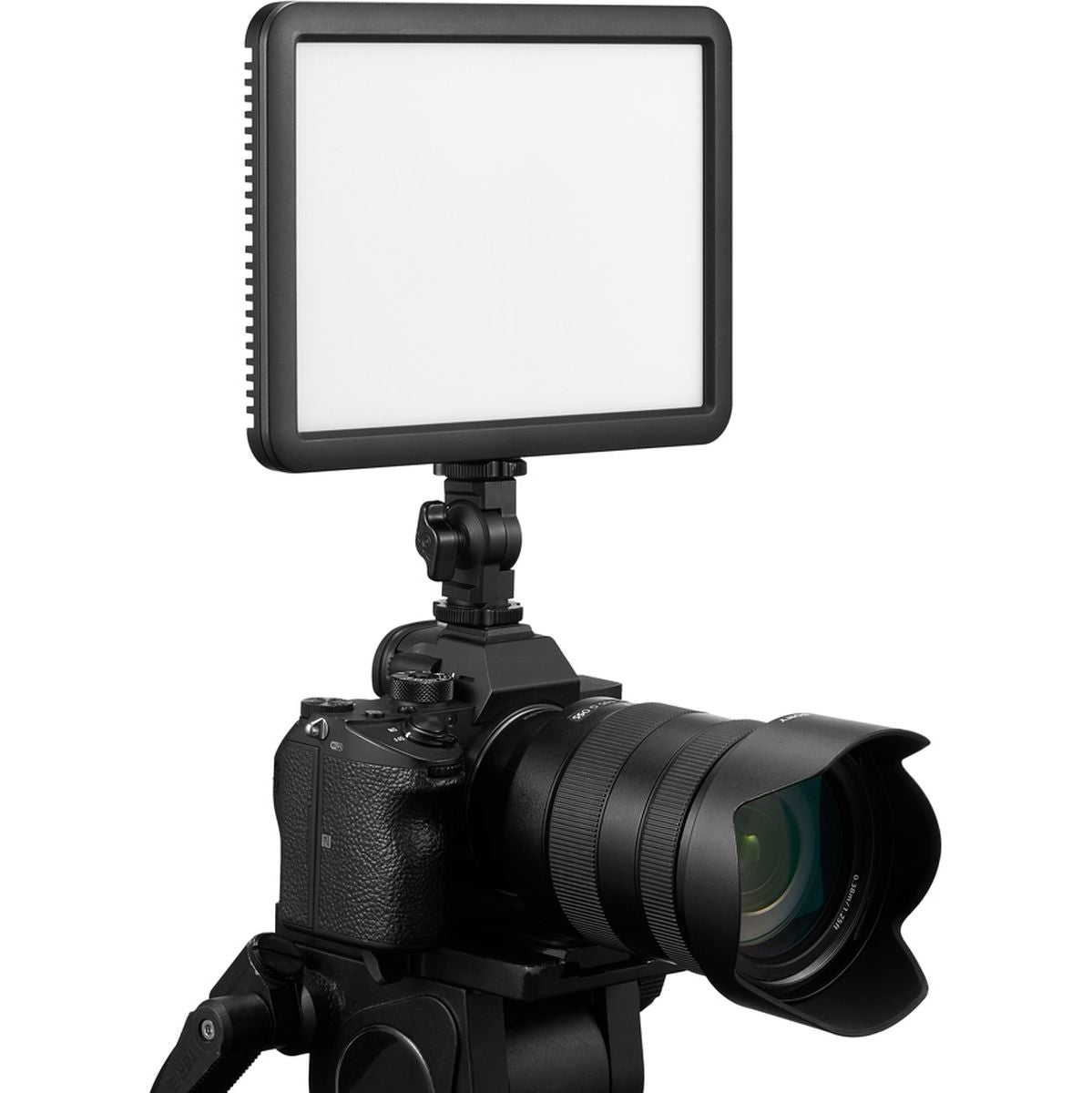 Godox LDP18D Streaming Slim Panel Light