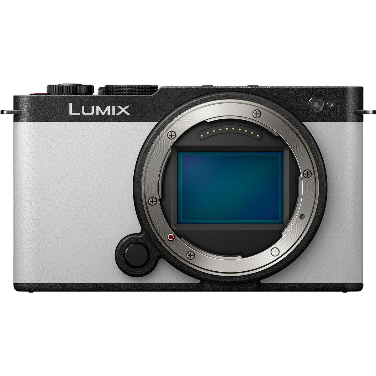 Panasonic LUMIX S9 Body Smokey White