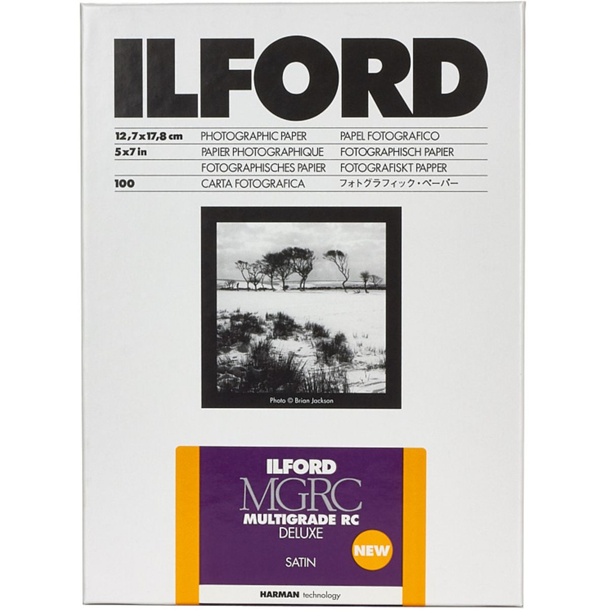Ilford MGRCDL25M 12.7x17.8cm 100