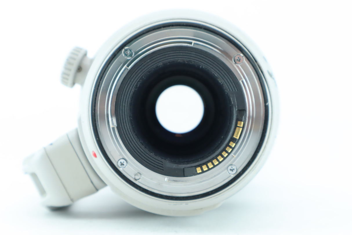 Canon EF 100-400mm 4,5-5,6 L IS II USM