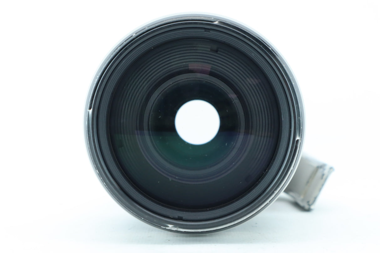 Canon EF 100-400mm 4,5-5,6 L IS II USM