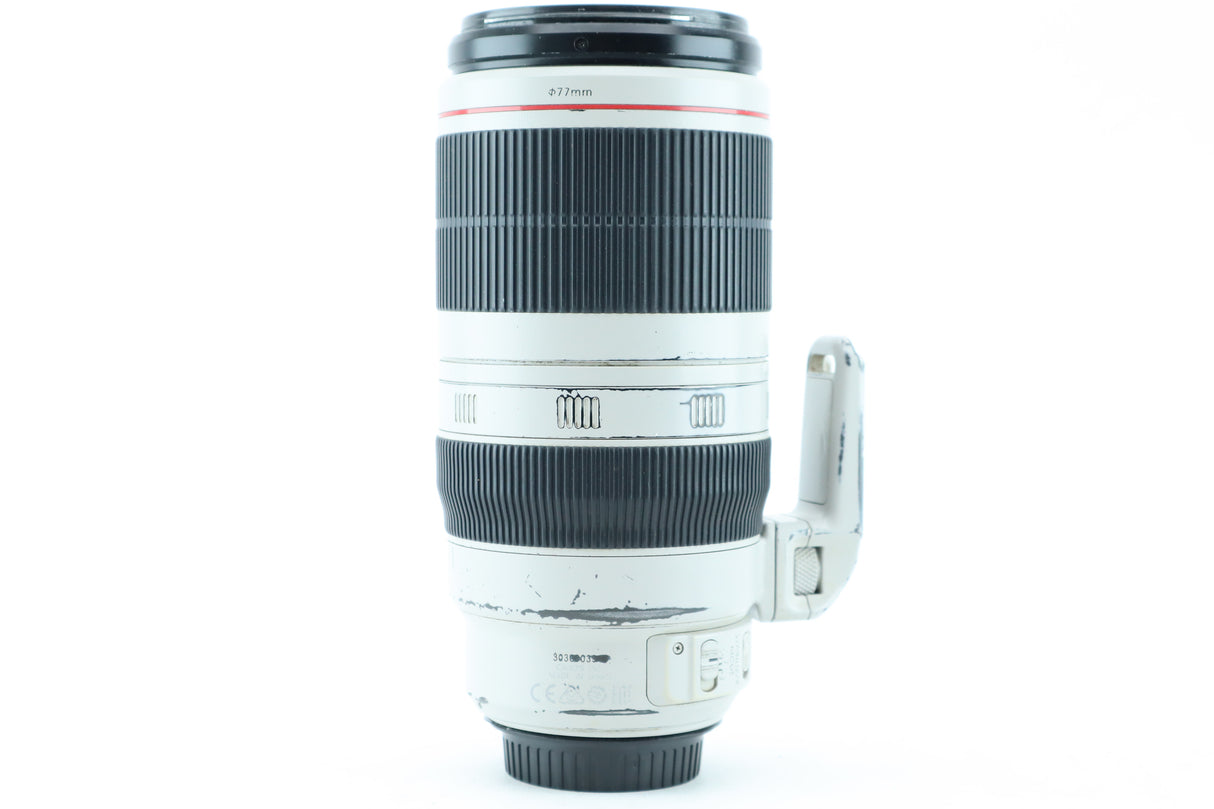 Canon EF 100-400mm 4,5-5,6 L IS II USM