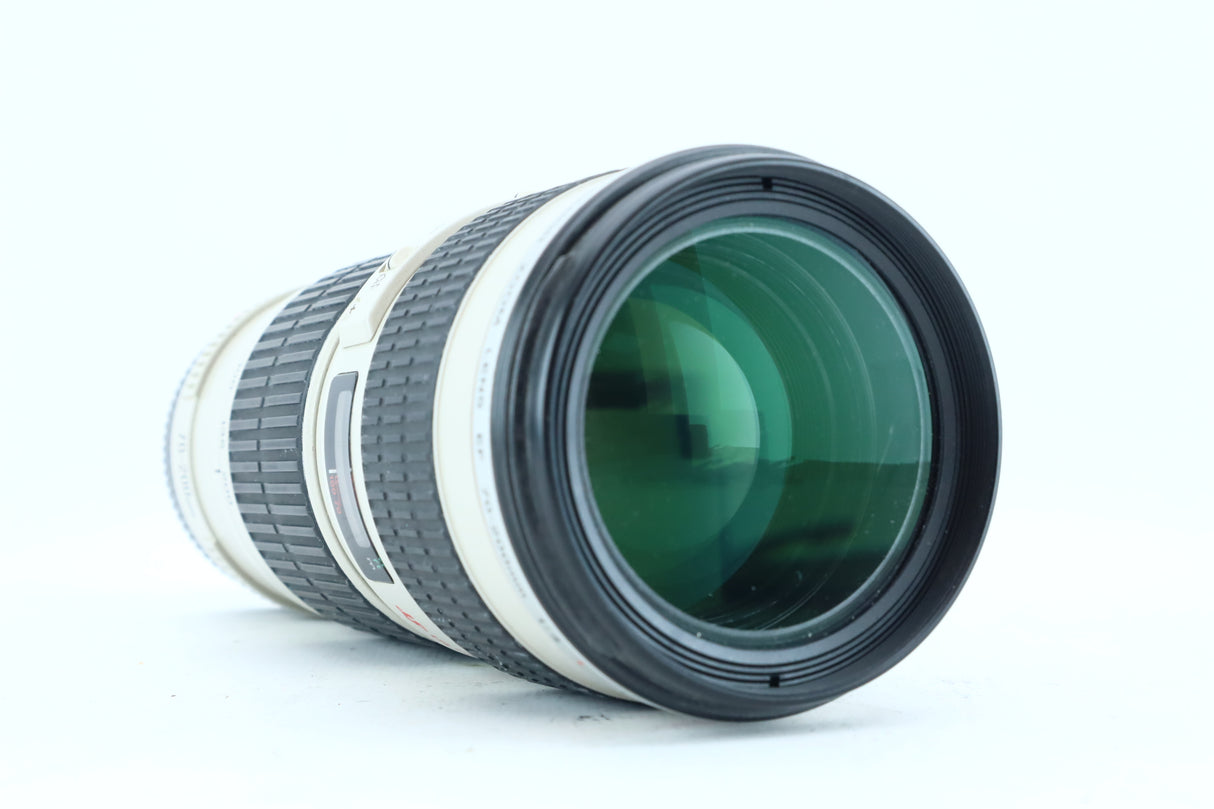 Canon EF 70–200mm f/4L USM – Telephoto Zoom Lens