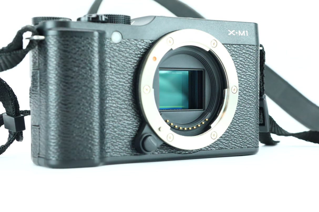 Fujifilm X-M1 45L03193
