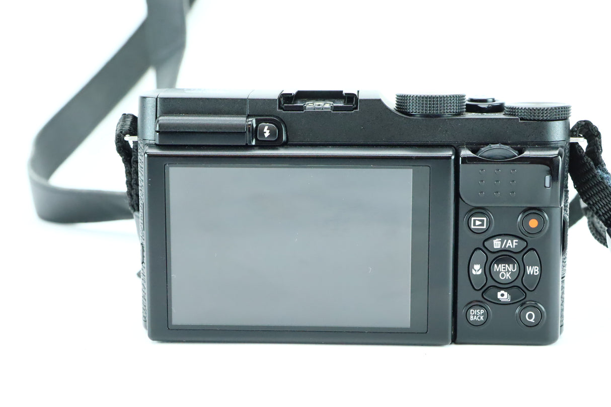 Fujifilm X-M1 45L03193