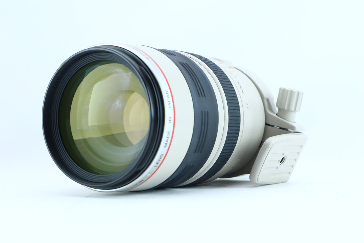 Canon EF 100-400mm f/4.5-5.6L IS USM