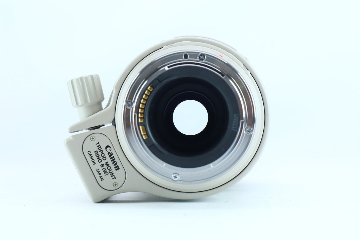 Canon EF 100-400mm f/4.5-5.6L IS USM