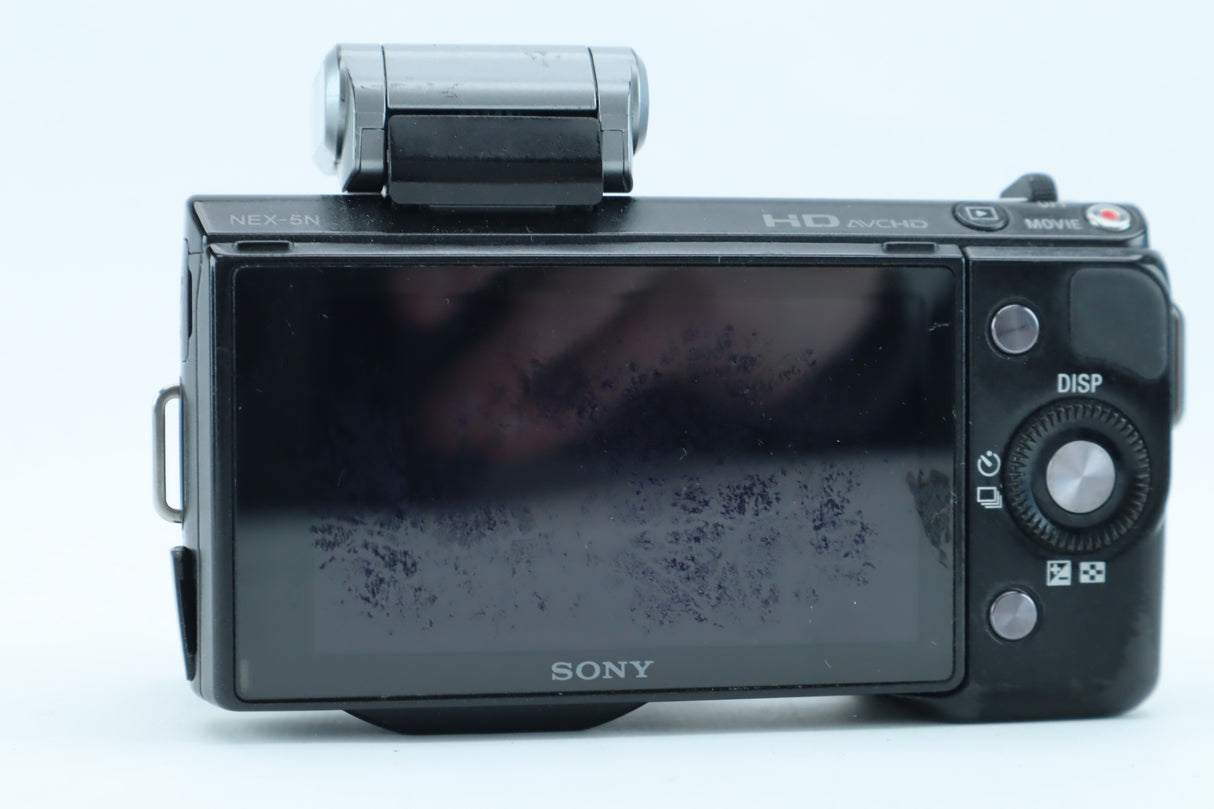 Sony NEX-5N with 16-50mm OSS Lens and Flash