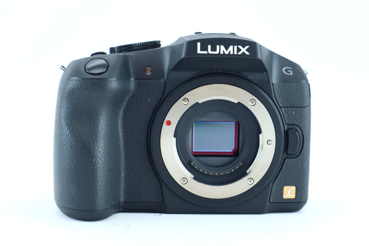 Panasonic Lumix DMC-G6 Mirrorless Camera (Micro Four Thirds)