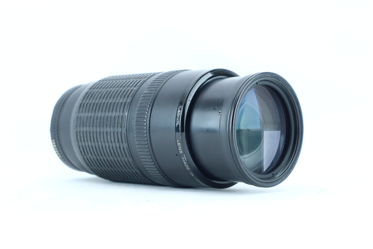 Canon EF 100–300mm f/5.6 – Telephoto Zoom Lens for Canon EF-Mount