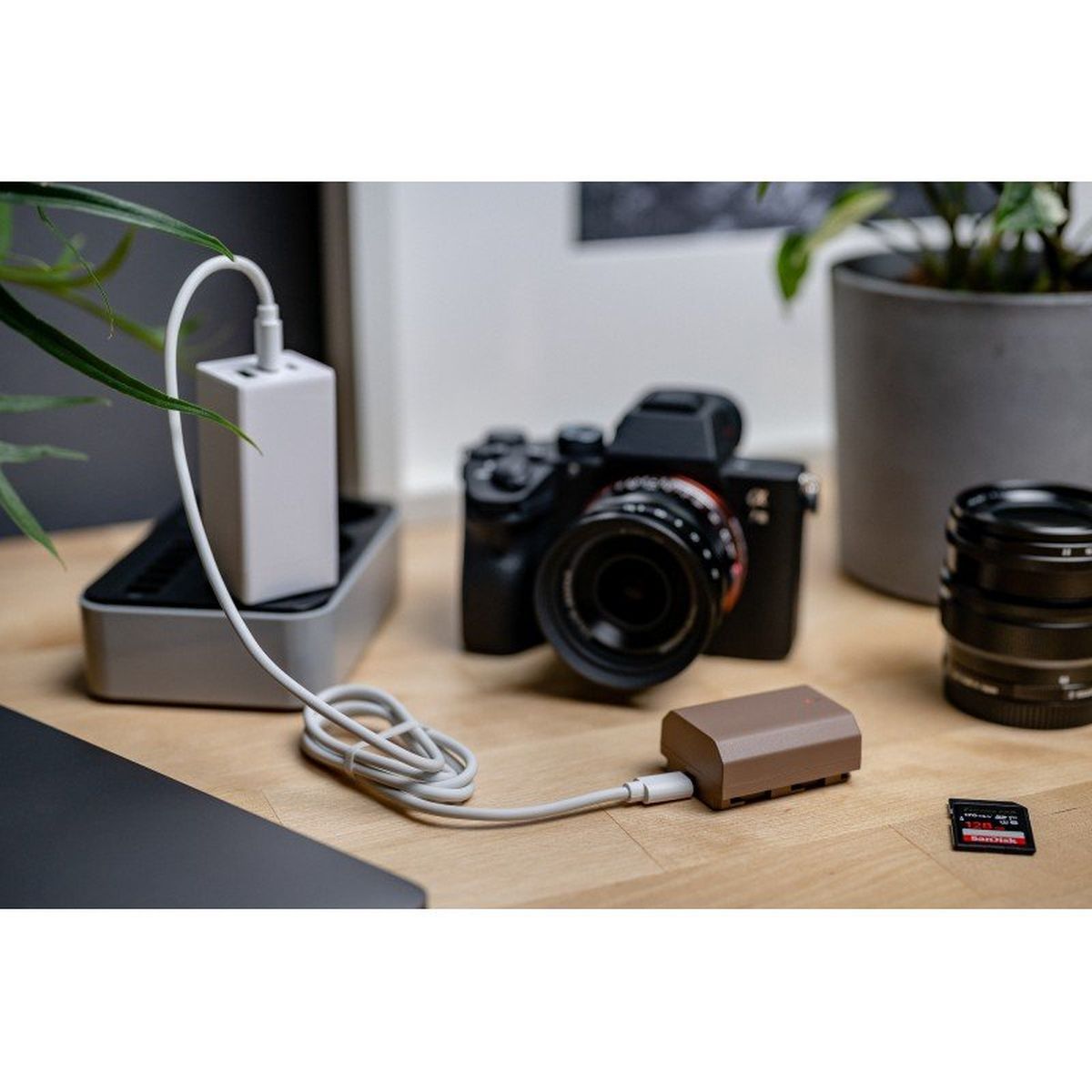 Newell Replacement Battery LP-E6NH USB-C For Canon - image 5 of 5
