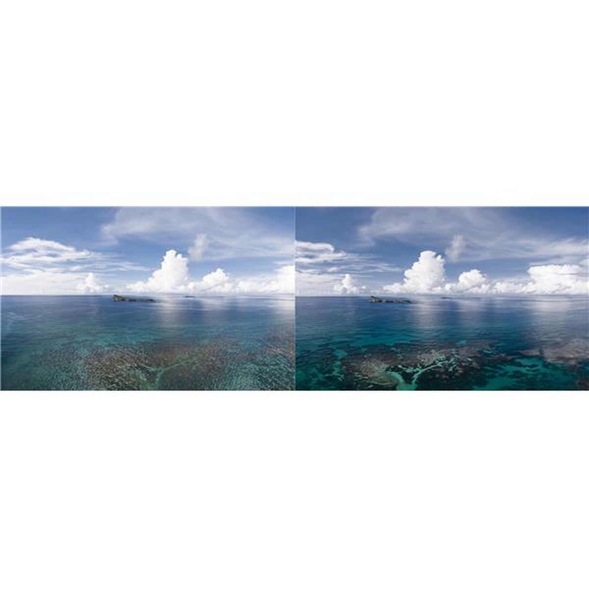 PGYTECH DJI Osmo Pocket 2 - Filter CPL