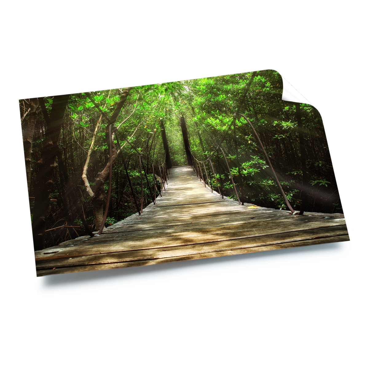 الملصقات غير لامعة