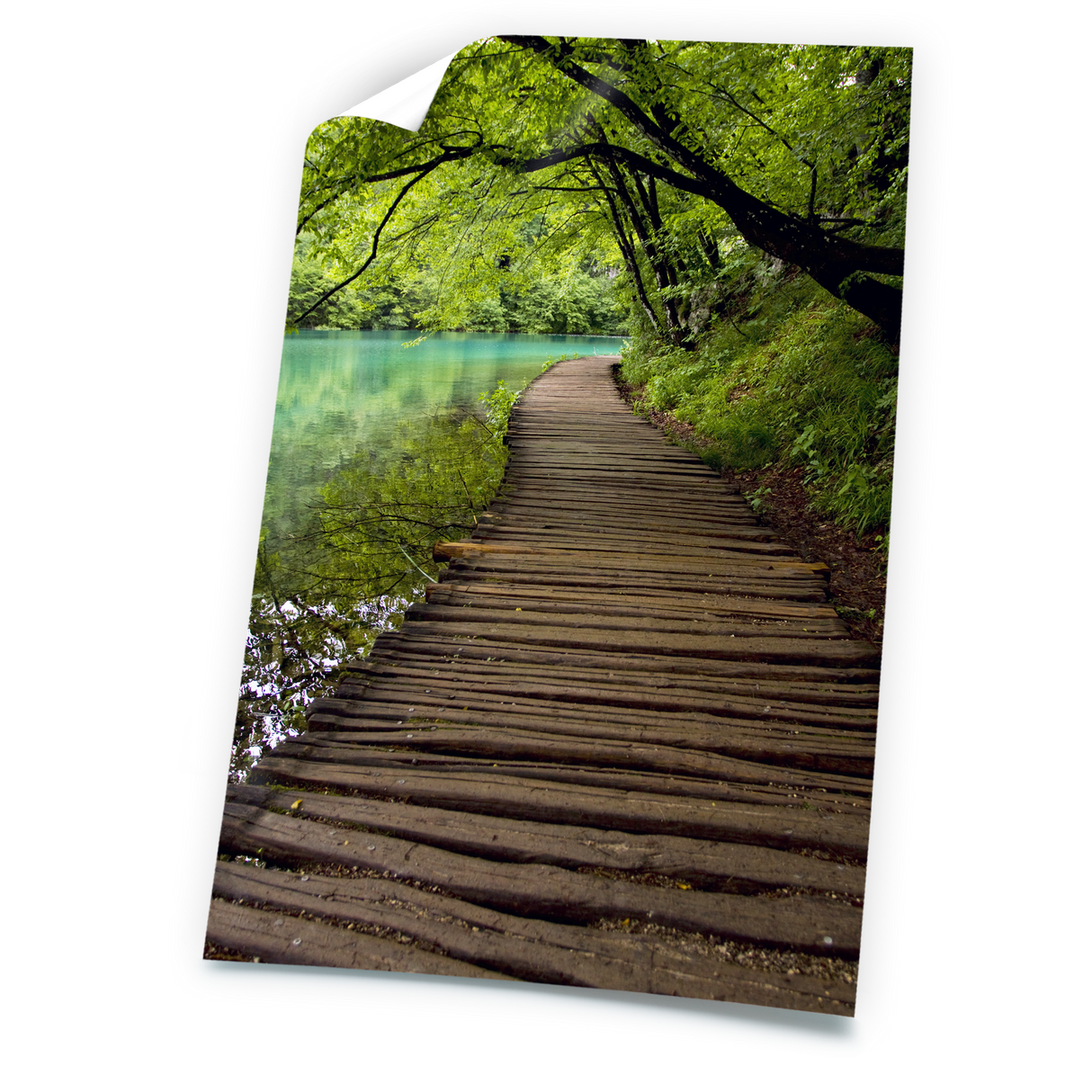 الملصقات لامعة