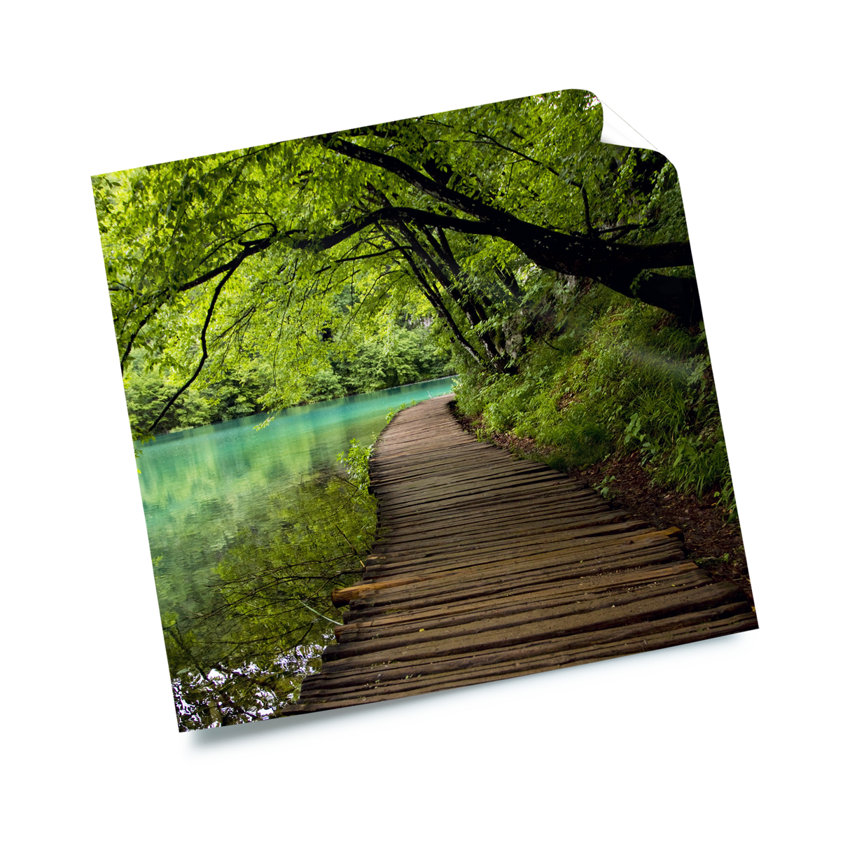 الملصقات غير لامعة