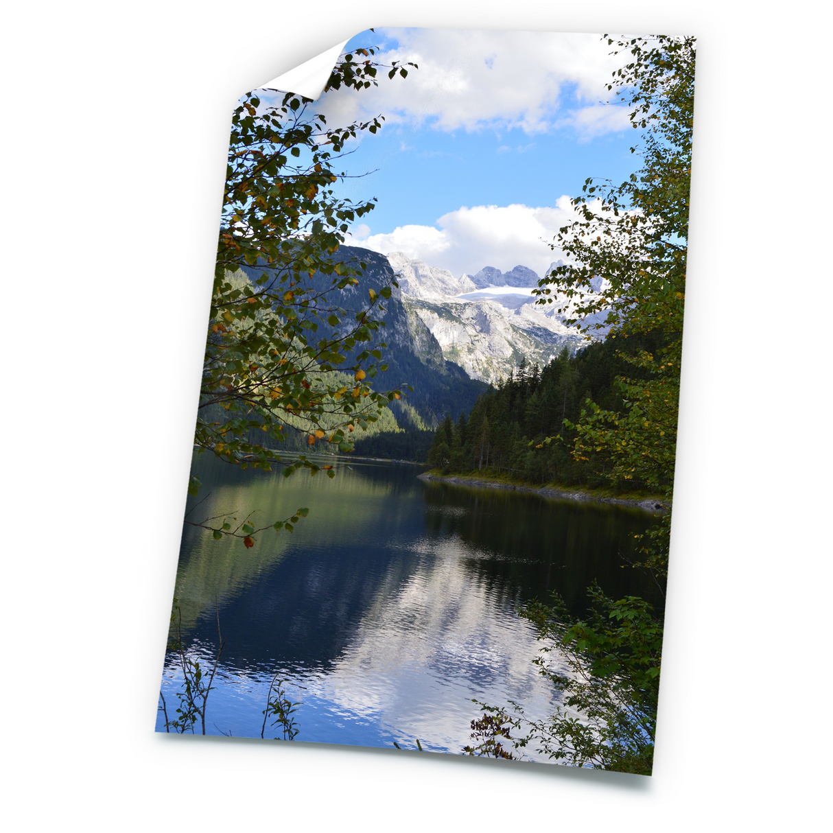 الملصقات غير لامعة