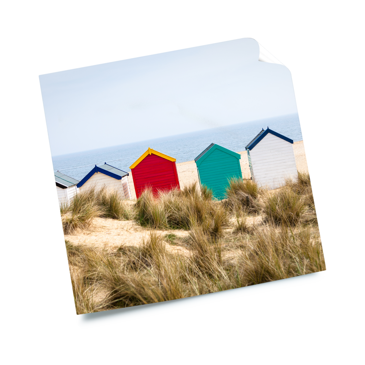 الملصقات غير لامعة