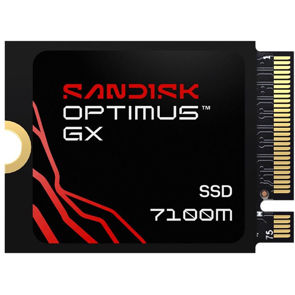 SanDisk Optimus GX 7100m 1TB PCIE-G4 1TB