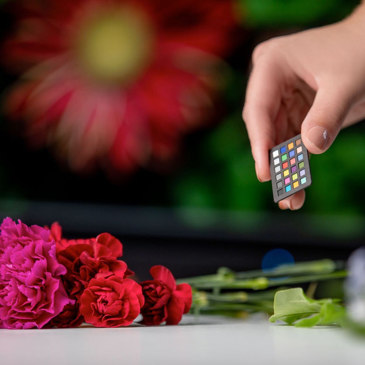 X-Rite ColorChecker Nano - image 4 of 5