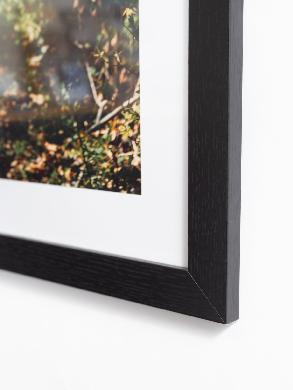 ملصق صور بإطار أسود