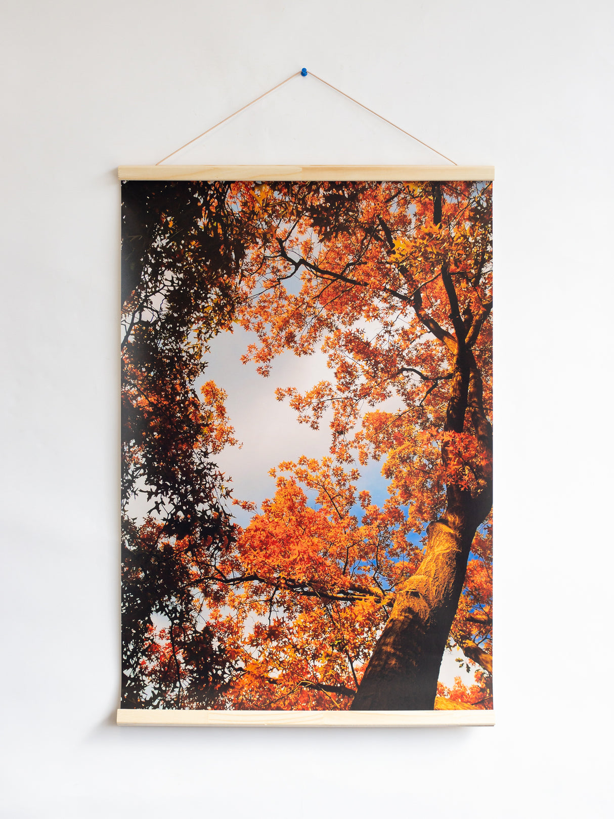 ملصق مع حصيرة تعليق للملصق