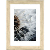 Hama Plastic Frame Breeze Eiken 20 X 30 cm