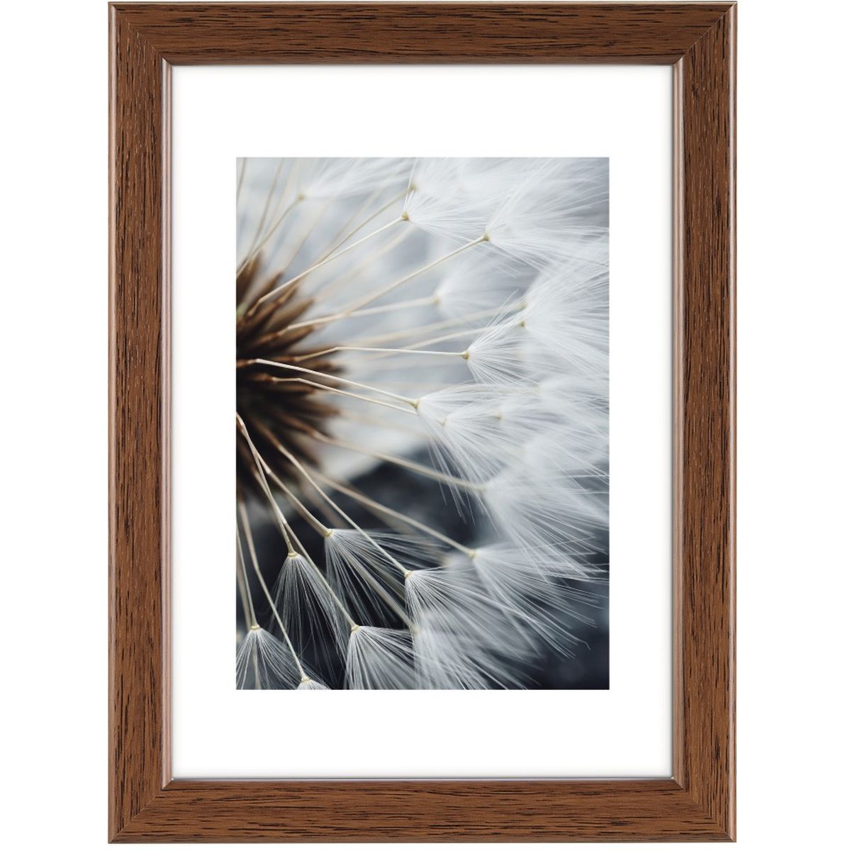 Hama Plastic Frame Breeze Noot 30 X 40 cm