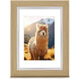 Hama Plastic Frame Lima Eiken 15 X 20 cm