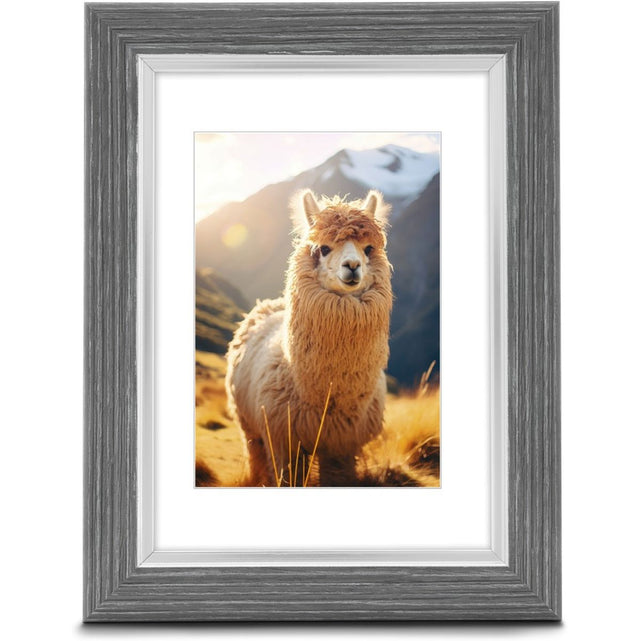 Hama Plastic Frame Lima Grafietgrijs 10 X 15 cm