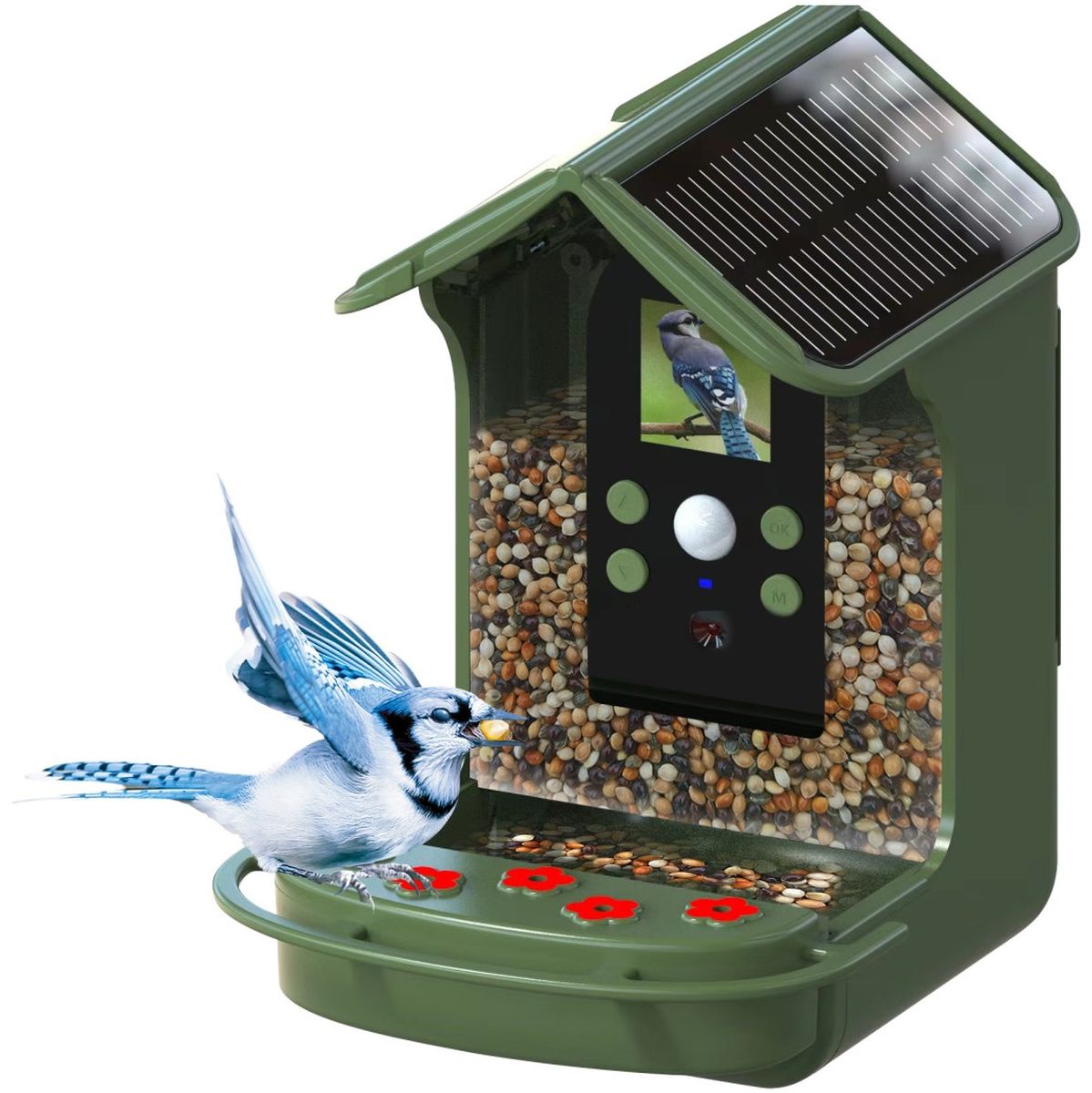 Braun Bird Cam 130 - Solar - Olive - image 3 of 5