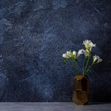 V-Flat World Ocean Slate/Black Slate