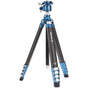 Benro Cyanbird Carbon Tripod w/ G36PT Head (TCBC25G36PT)