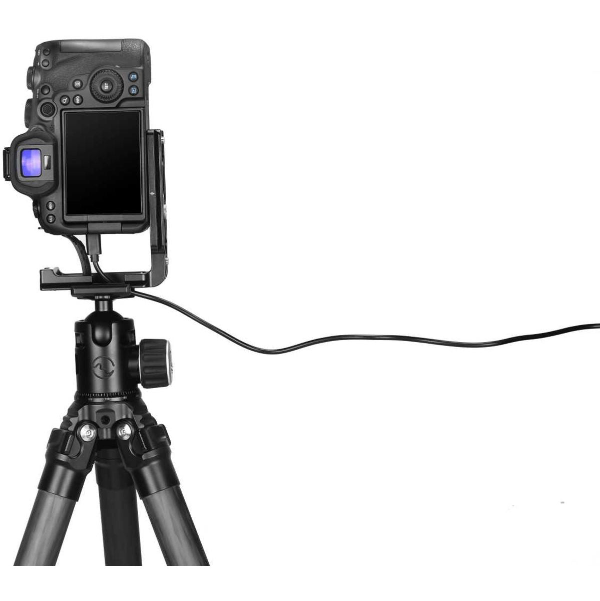 Sunwayfoto L-Plaat / L-Bracket Arca Canon EOS R6II (PCL-R6II
